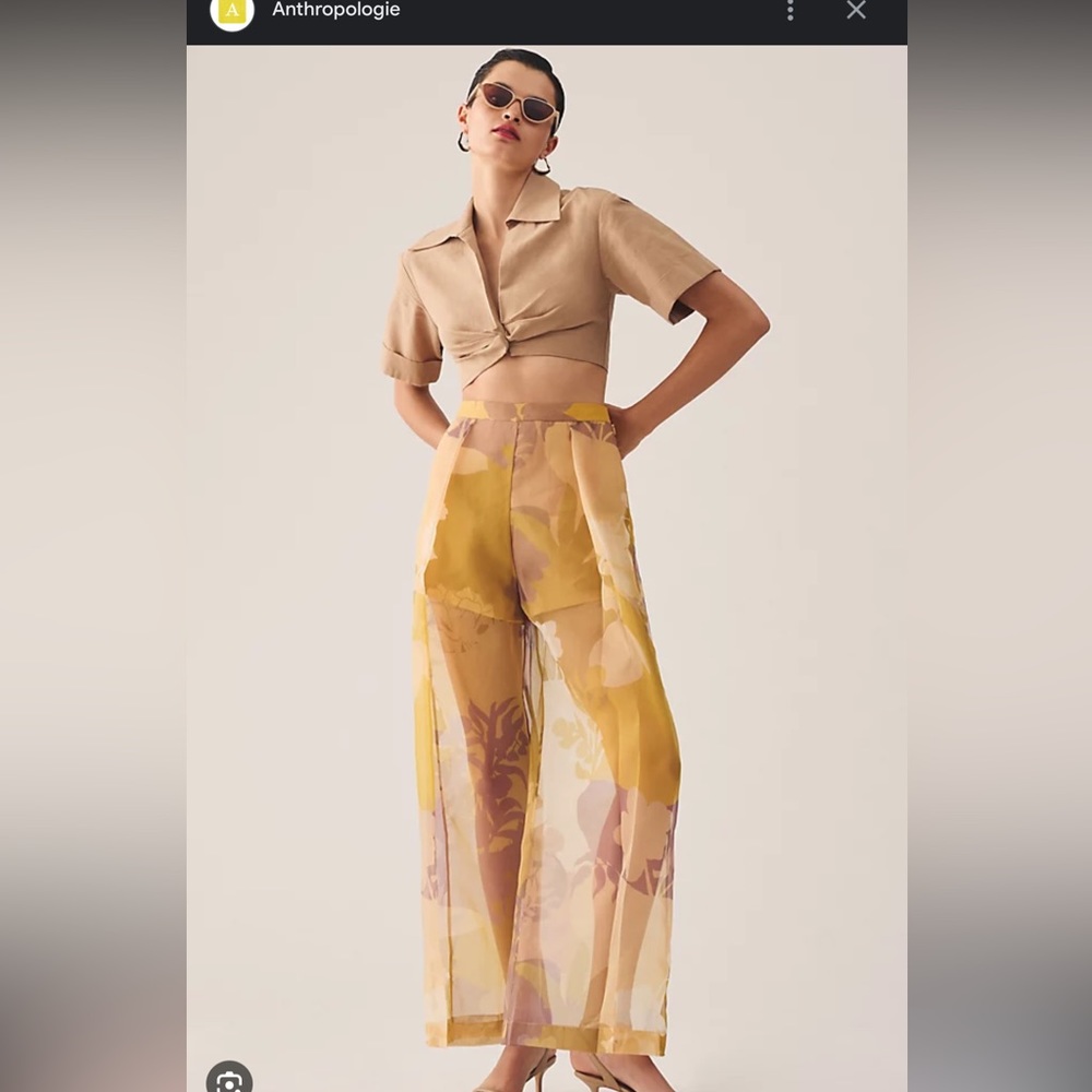 Anthropologie Pankaj &Nidhi sheer pants